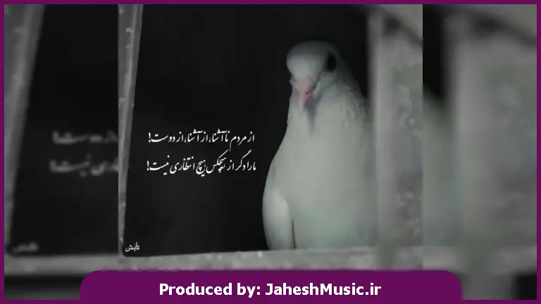 دانلود آهنگ من دلم نمیخواست ولی دست مه هیچ نمک ناره از امید صفرپور و میثم